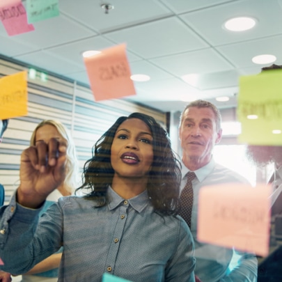 ERP project manager