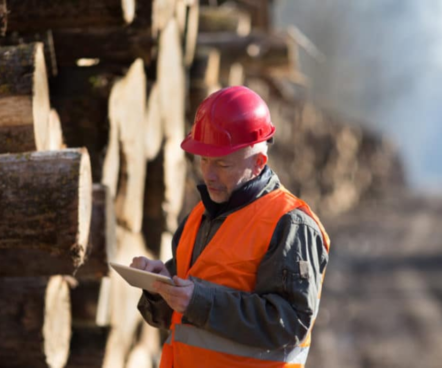 Digitalizing Forestry