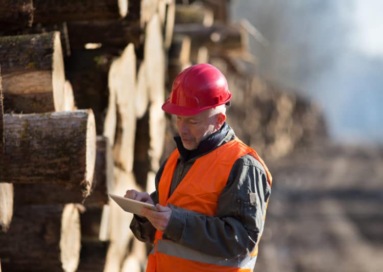 Digitalizing Forestry