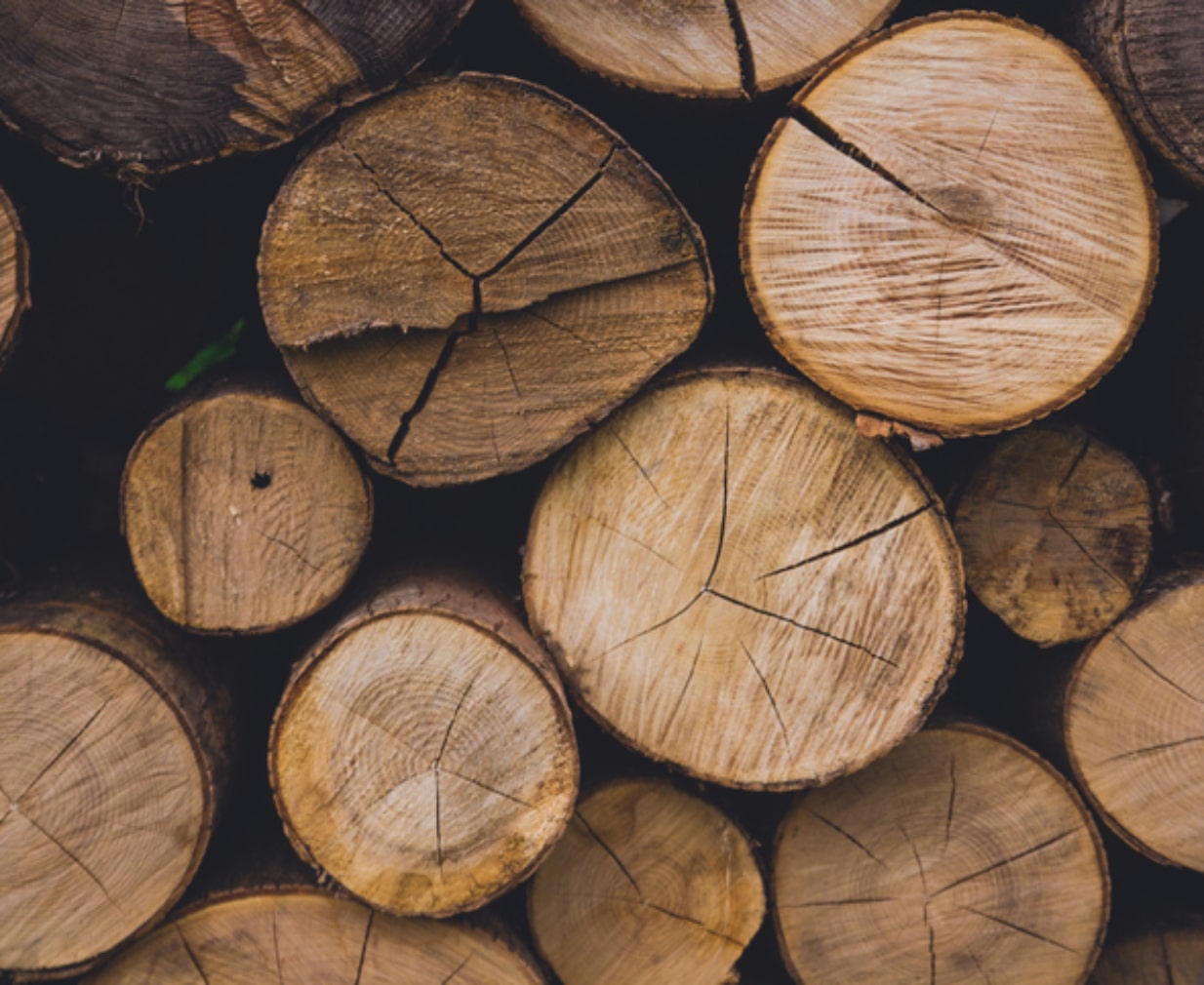 wood
