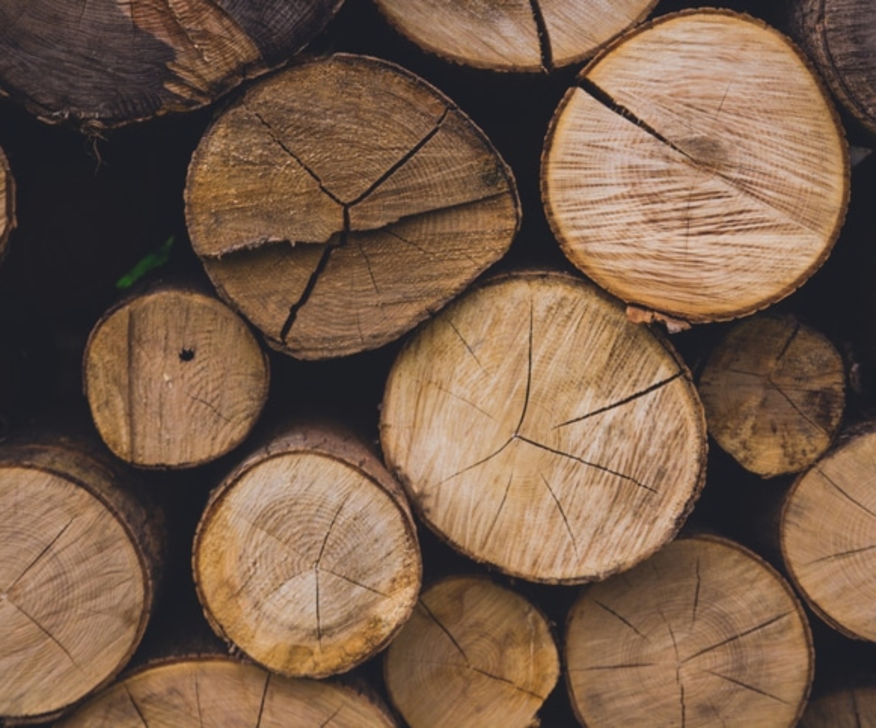 wood
